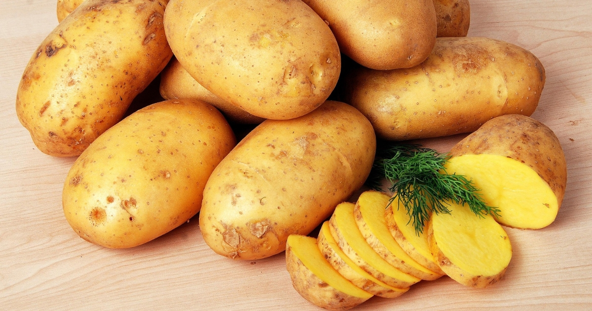 Do Potatoes Have Protein?